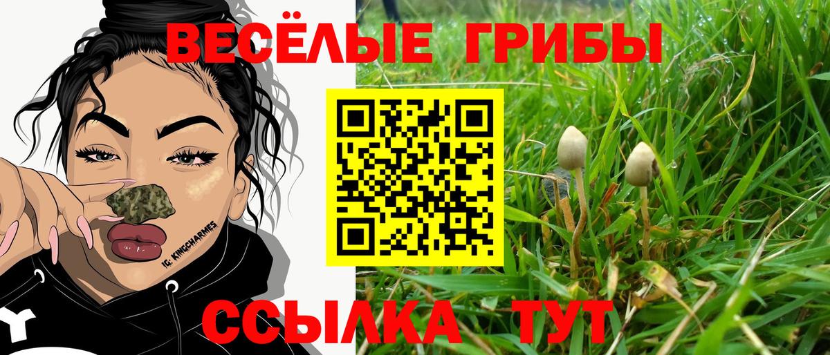 Псилоцибиновые грибы Magic Shrooms Новоалександровск