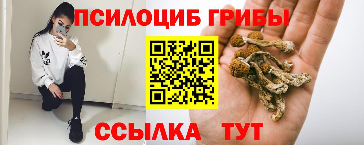 Галлюциногенные грибы мухоморы  Вход с VPN  Новоалександровск  Галлюциногенные грибы Psilocybine cubensis 